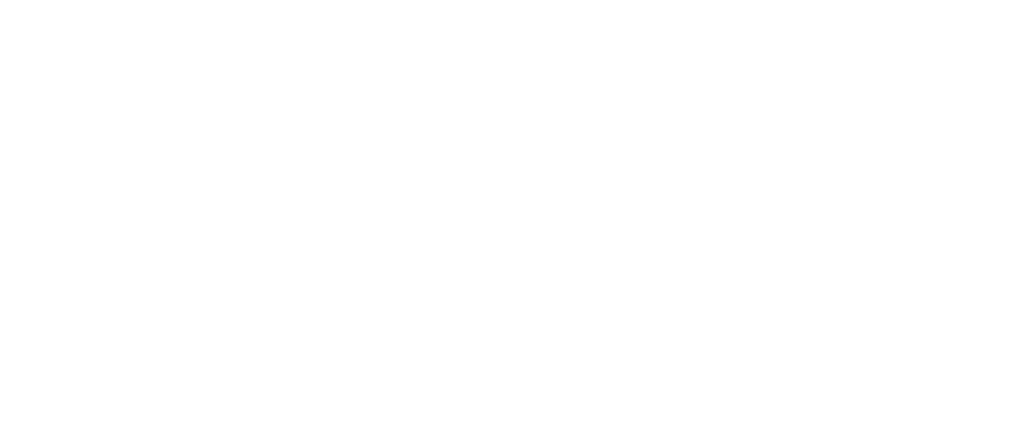 SmartXperiences performance marketing logo